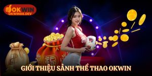 Giới thiệu sảnh thể thao