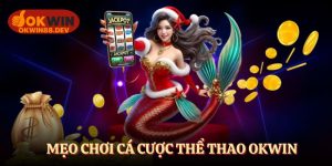 Mẹo chơi cá cược thể thao okwin